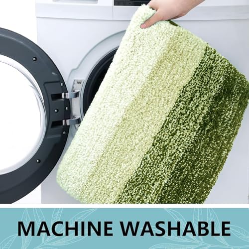 Arotive Microfiber Bathroom Rugs, Shaggy Soft Absorbent Bath Rug, 24x16