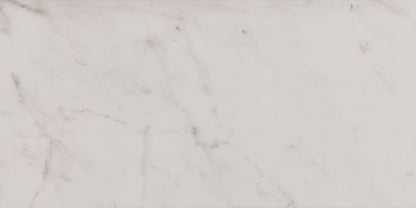 Daltile Costar 12" x 24" Marble Look Porcelain Floor Tile in Matte Calacatta Empire for Kitchen, Bathroom, Living Room Floors
