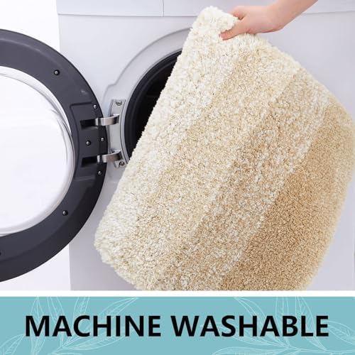 Arotive Microfiber Bathroom Rugs, Shaggy Soft Absorbent Bath Rug, 24x16