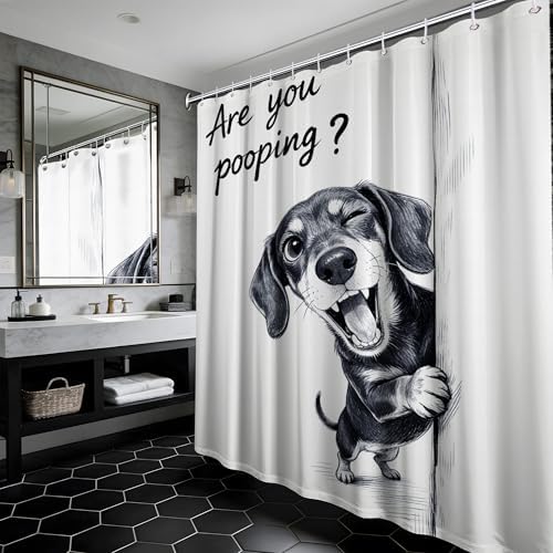 Extra Tall Shower Curtain XL Funny Dachshund, 70 x 96 Inchs