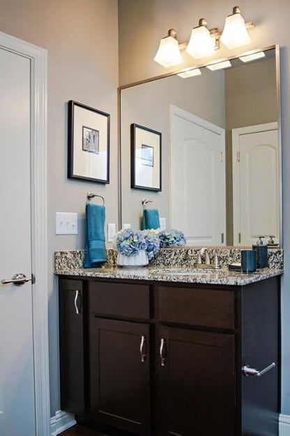 Design House 514760 Torino Traditional 3-Light Indoor Bathroom Vanity Light Dimmable Snow Glass for Over the Mirror, Satin Nickel