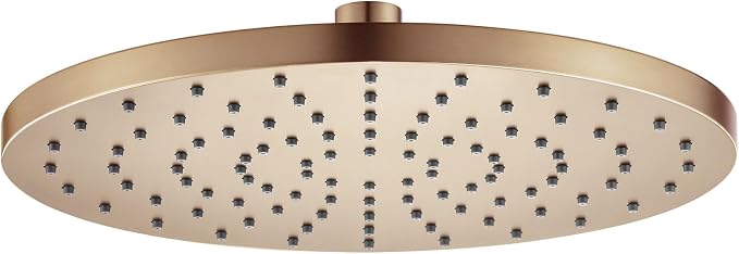 Rainhead Waterfall Shower Head 10-Inch Large Bathroom Overhead Fixed Showerhead High Pressure 2.5 GPM with Adjustable Angle, Champagne Bronze SH001CPG-D10