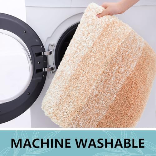 Arotive Microfiber Bathroom Rugs, Shaggy Soft Absorbent Bath Rug, 30x17