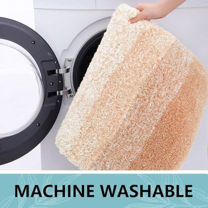 Arotive Microfiber Bathroom Rugs, Shaggy Soft Absorbent Bath Rug, 30x17