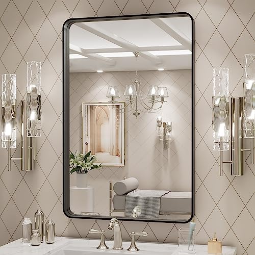 LOAAO 24X30 Inch Black Metal Framed Bathroom Mirror (Pack of 2)