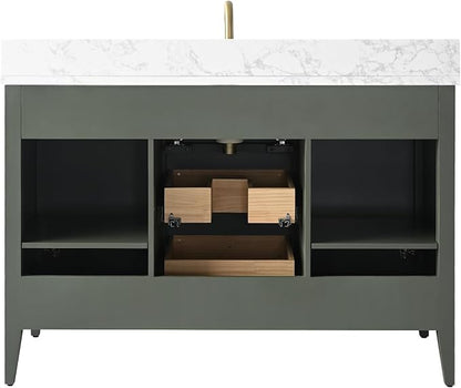 Vanity Art 48 inch Bathroom Vanity with Single Sink & Ceramic Top, Vanity Cabinet with Soft-Closing Door, Solid Wood Frame, Linear Pattern, Vintage Green, Golden Brushed Handware VA9148-VG-GB