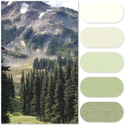 jinchan Ombre Forest Green Shower Curtain for Bathroom 48x72 inch 8 Hooks