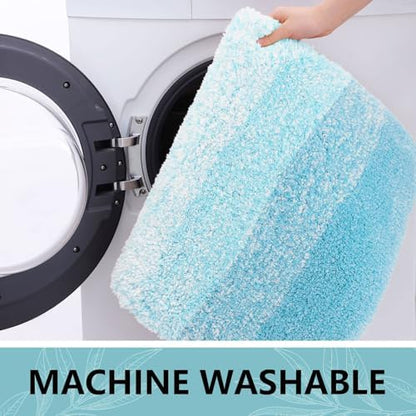 Arotive Microfiber Bathroom Rugs, Shaggy Soft Absorbent Bath Rug, 30x20