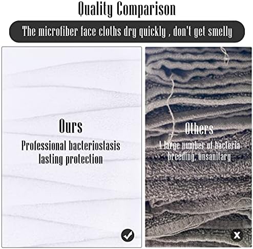 TENSTARS 12 Pack Premium Washcloths Set - Quick Drying- Soft Microfiber Coral Velvet Highly Absorbent Wash Clothes - Multipurpose Use as Bath, Spa, Facial, Fingertip Towel (White)