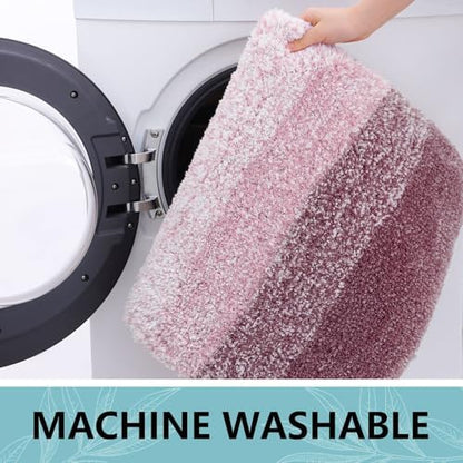 Arotive Microfiber Bathroom Rugs, Shaggy Soft Absorbent Bath Rug, 54x24