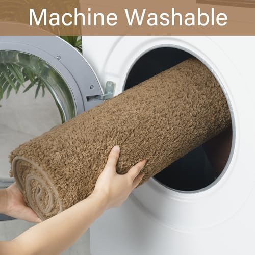 LOCHAS Bathroom Rug Runner 24x48 Inch, Bath Rugs Non Slip, Light Brown