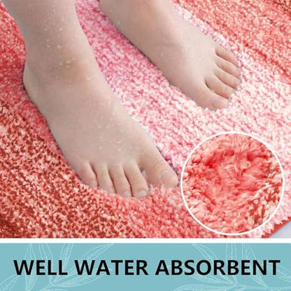 Arotive Microfiber Bathroom Rugs, Shaggy Soft Absorbent Bath Rug, 30x20