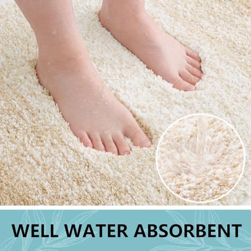 Arotive Microfiber Bathroom Rugs, Shaggy Soft Absorbent Bath Rug, 24x16