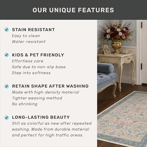 Boho Natural Red Blue 3x5 Entryway Rug, Washable Mudroom Area Rug, Modern Vintage Kitchen Floor Carpet, Low Pile Non-Slip Carpet for Indoor Entrance and Laundry Room