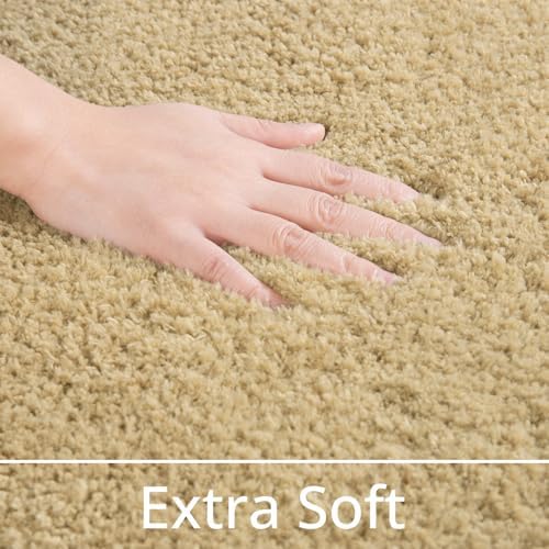 LOCHAS Bathroom Rugs 24x17 Inch, Microfiber Bath Rug Non Slip, Beige