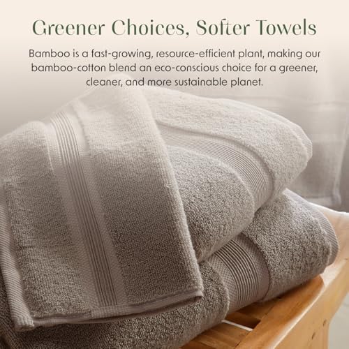 Springtree Home Luxury Bamboo Rayon Plush Bath Towel Set | 4-Pack | Brown
