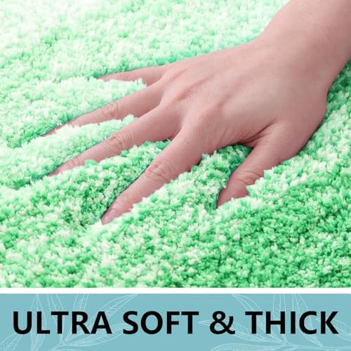 Arotive Microfiber Bathroom Rugs, Shaggy Soft Absorbent Bath Rug, 44x24
