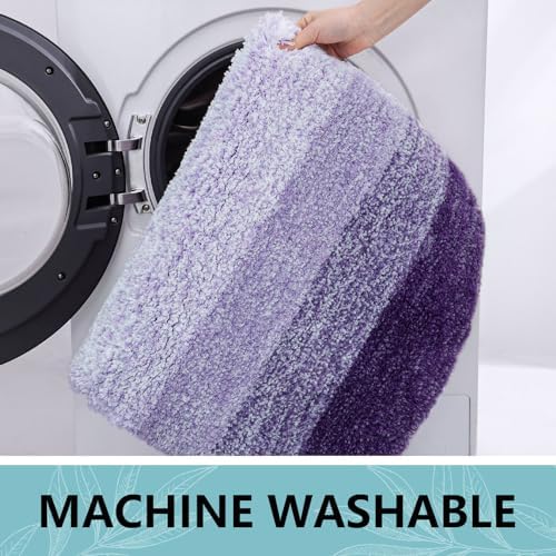 Arotive Microfiber Bathroom Rugs, Shaggy Soft Absorbent Bath Rug, 60x40