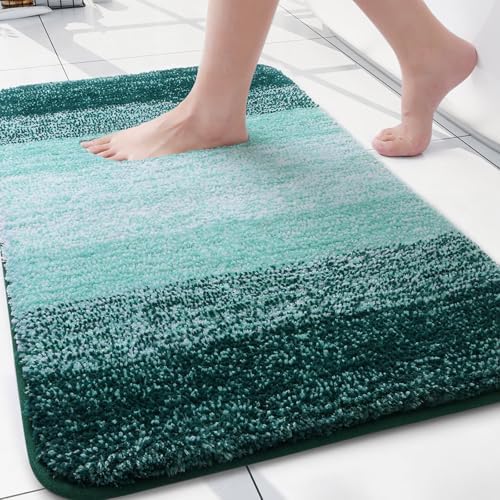 Arotive Microfiber Bathroom Rugs, Shaggy Soft Absorbent Bath Rug, 24x16