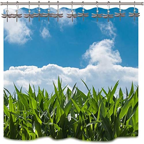 Dragonfly Shower Curtain Hooks - Decorative Shower Hooks for Shower Curtain