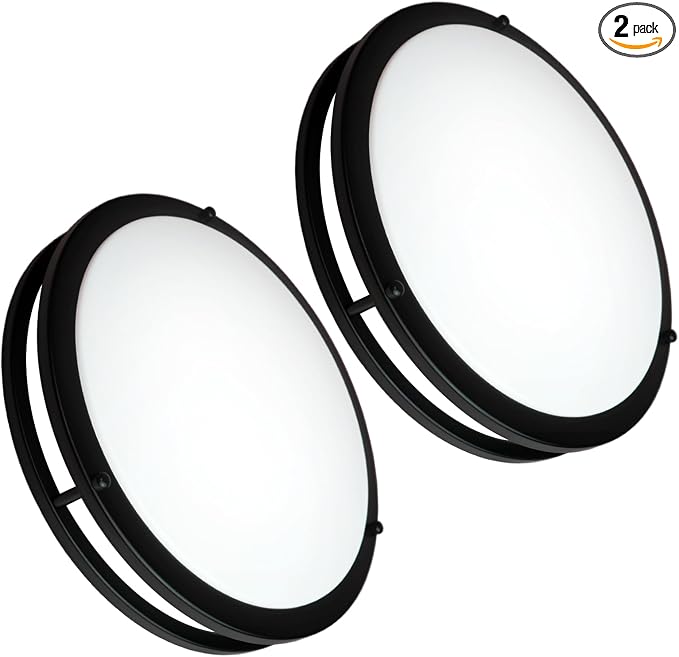 10inch LED Flush Mount Ceiling Light Fixture Dimmable Matte Black, Easy Install LED Ceiling Lamp Fixture Without Flicker, Super Bright 24W 2400LM 5000K 2-Pack