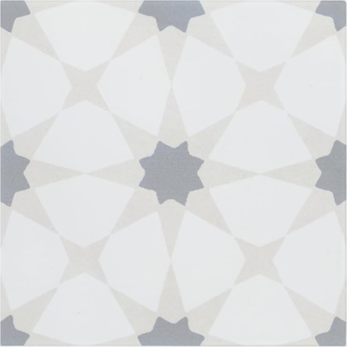 MSI Zoudia Encaustic Sample Matte Porcelain Wall Tile for Bathroom, Floor, Kitchen Backsplash, and Countertop