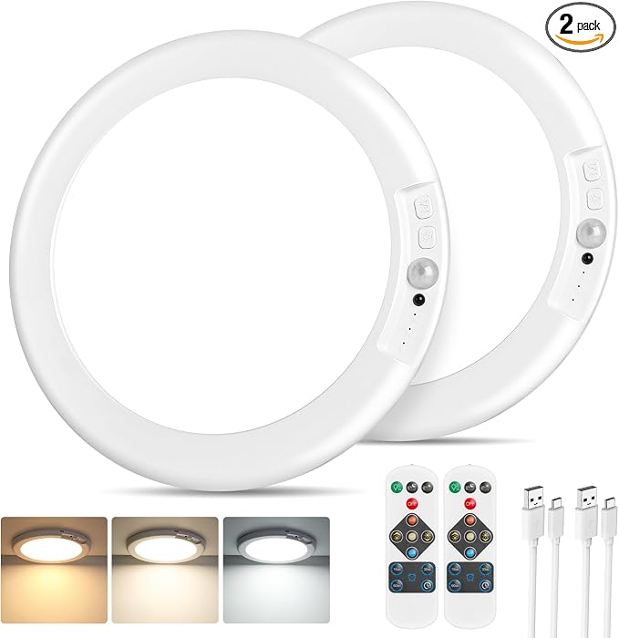 Rechargeable Motion Sensor Ceiling Light, Battery Operated Closet Light