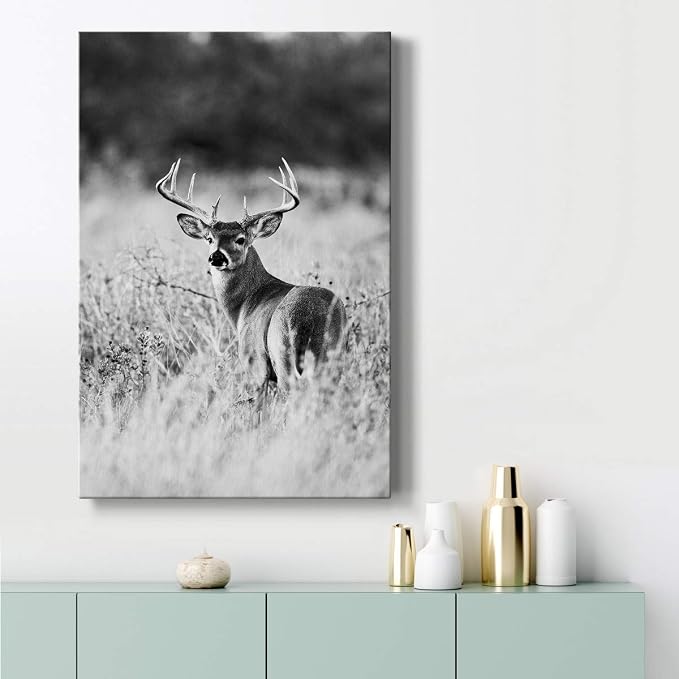 Renditions Gallery Canvas Animal Wall Art Home Modern Decorations Paintings Vintage Scared Deer Black & White Canvas Wall Hanging Artwork Prints for Bedroom Living Room Office - 12"x18" LT02