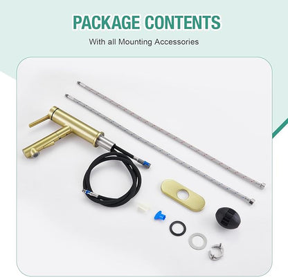 Faustina Light Gold Bathroom Faucet with Pull Out Sprayer, Gold Vanity Faucet for Bathroom or Laundry, Stainless Steel Single Handle with Deck Plate for 1 or 3 Hole, Brushed Finish