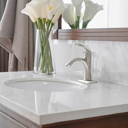 BWE Brushed Nickel Bathroom Faucet Single Handle Bathroom Sink Faucet One Hole with Pop Up Drain Assembly and Supply Lines Commercial Vanity Restroom Lavatory Mixer Tap