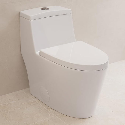 DeerValley Elongated One Piece Toilet with Standard Height Quick Release Seat Dual Flush 1.1/1.6 GPF White 12" Rough In Bathroom Toilet