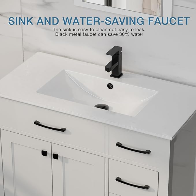 LUCKWIND 24" Bathroom Vanity with Sink Combo, Painted Modern Bathroom Storage Cabinet with Ceramic Sink, Two Doors, Include Faucet Without Mirror, White