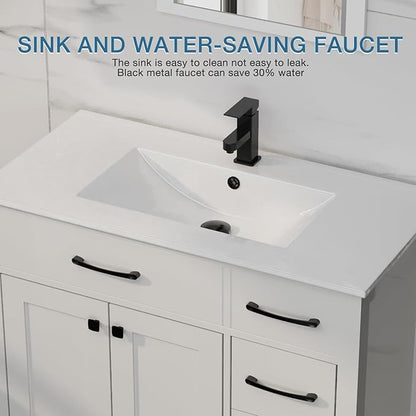 LUCKWIND 24" Bathroom Vanity with Sink Combo, Painted Modern Bathroom Storage Cabinet with Ceramic Sink, Two Doors, Include Faucet Without Mirror, White