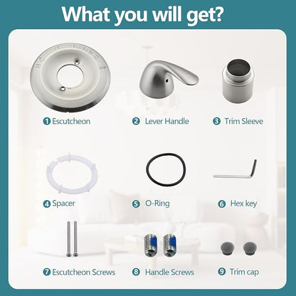 Shower Trim Kit Compatible with 13/14 Series, Shower Cover Plate with Handle, Brushed Nickel(Valve& Catridge Not Inclued)