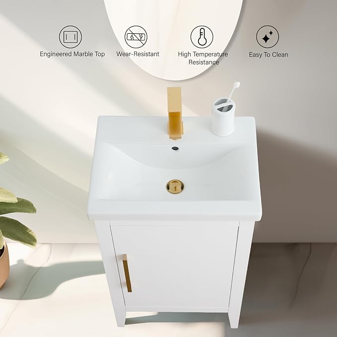 Vanity Art 20 inch Bathroom Vanity with Single Sink & Ceramic Top, Vanity Cabinet with Soft-Closing Doors, Solid Wood Frame, White, VA9020-W-BN1