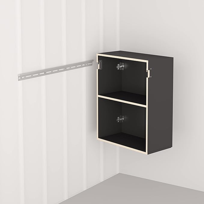 Prepac HangUps 24” Wall Mount Storage Cabinet, Ideal Bathroom, Laundry, Kitchen, Office, Garage Cabinet for Organization and Extra Storage, Attaches to Wall Mounted Rail, 24”W x 30”H, 12”D, Black