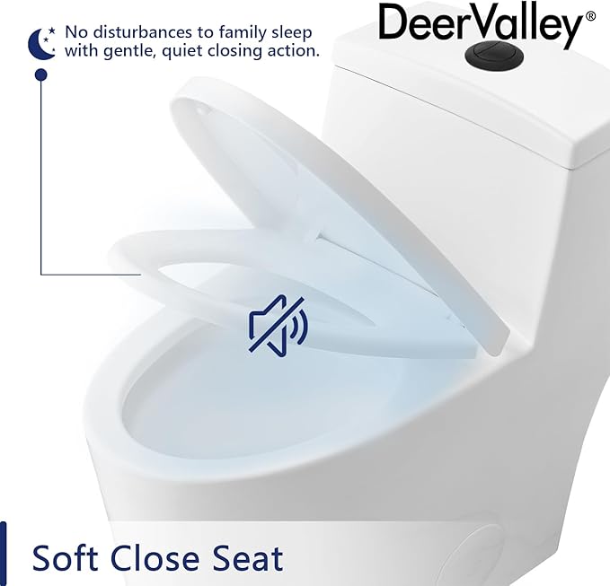 DeerValley Elongated One-Piece Toilet with Standard Height 1.1/1.6 Dual Flush Toilets with Soft Closing Seat and Black Button
