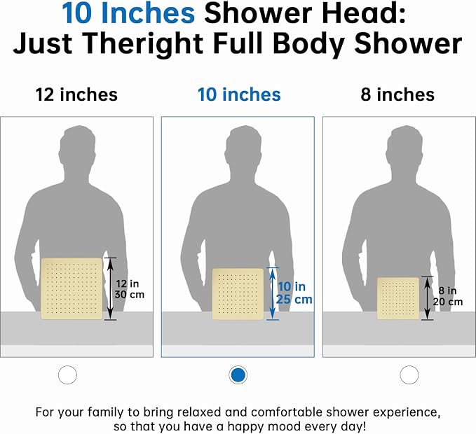 G-Promise All Metal 10 Inches Rainfall Shower Head with Handheld Combo | All Metal, Built to Last, Easy Install, Adjustable Height & Angle for All Heights, Extra Long Hose, Modern Upgrade