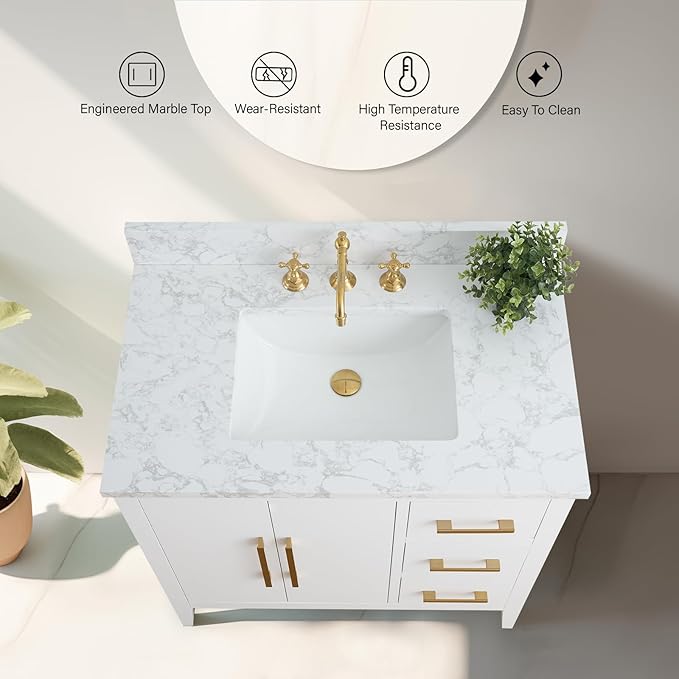 Vanity Art 36 inch Bathroom Vanity with Single Sink & Ceramic Top, Vanity Cabinet with Soft-Closing Doors, Drawers, Solid Wood Frame, White, VA9036-W-BN1