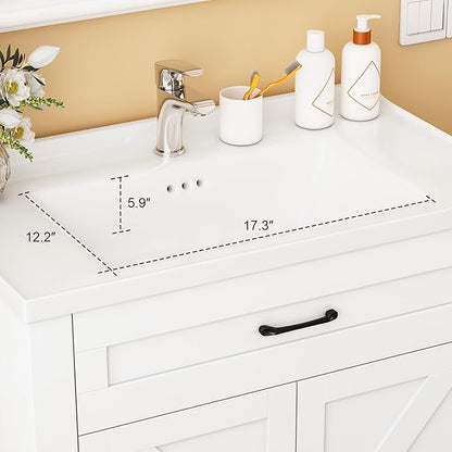 Bathroom Vanity, 24" Bathroom Vanity with Ceramic Sink, Farmhouse Bathroom Vanity Cabinet for Small Space, Freestanding Storage Cabinet with Shelf, 2 Doors, Easy Assembly