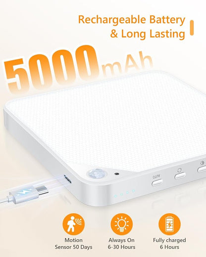 Rechargeable 6W Motion Sensor Light Indoor for Closet,Ceiling&Shower,2-Pack | No Wiring & Magnetic Stick-on Installation•Remote Control•5 Brightness Levels & 3 Color Temperatures•Ideal for Small Spaces