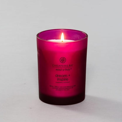 Chesapeake Bay Candle PT41689 Candle Medium Jar Dream & Inspire Home Décor