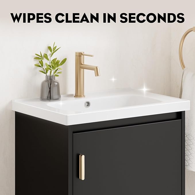phiestina 20 Inch Floating Small Bathroom Vanity, Pre-Assembled Wall Mounted Black Cabinet with Soft-Close Door,Single Hole Ceramic Sink, Modern Space-Saving Design, No Faucet,BV04-20-PUREBLACK