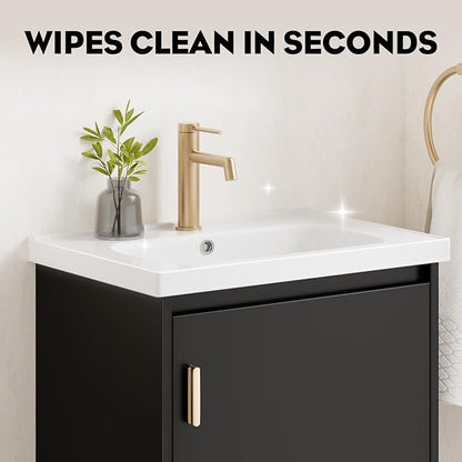 phiestina 20 Inch Floating Small Bathroom Vanity, Pre-Assembled Wall Mounted Black Cabinet with Soft-Close Door,Single Hole Ceramic Sink, Modern Space-Saving Design, No Faucet,BV04-20-PUREBLACK