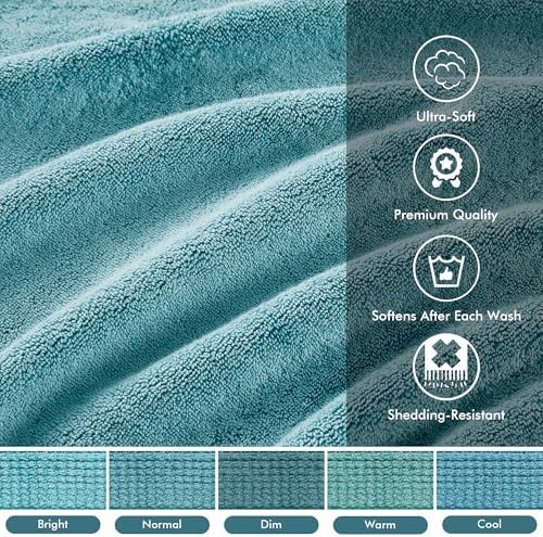 Madison Park Cotton Bath Sheet 2 Piece Oversized, 800GSM, 34" x 68" Aqua