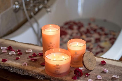 Chesapeake Bay Candle PT31905 Scented Candle Love + Passion (Grapefruit Mango) Medium Home Décor