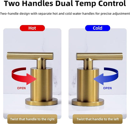TRUSTMI Bathroom Faucet 2 Handle 8 Inch Widespread Bathroom Sink Faucet with Metal Overflow Drain and cUPC Water Supply Lines, 3 Hole, Brushed Brass Gold