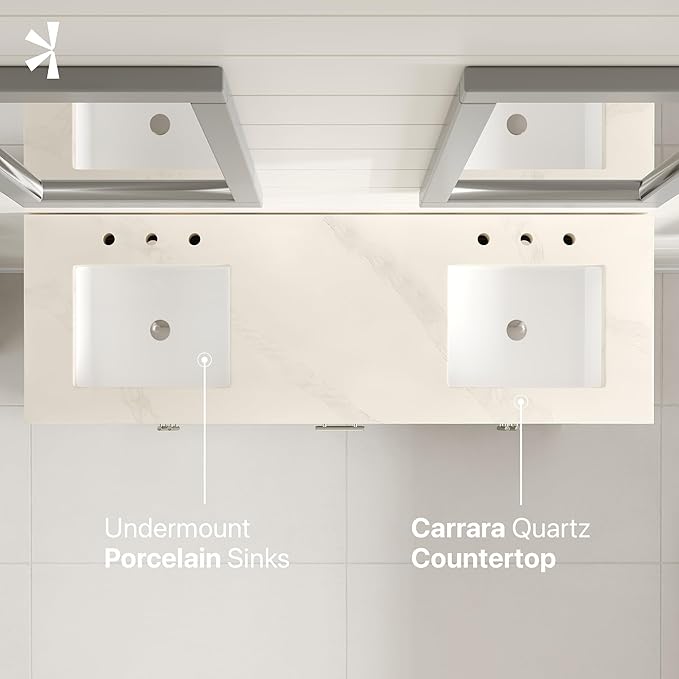 Eviva Cambridge 60 in. Gray Double Sink Bath Vanity with Quartz Top and Undermount Porcelain Sinks