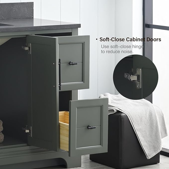 Vanity Art 48 Inch Single Sink Bathroom Vanity with Ceramic Sink and Stone Top | Undermount Rectangular Sink Cabinet Soft Closing Doors, Dovetailed Drawers, No Mirror VA5048-VG