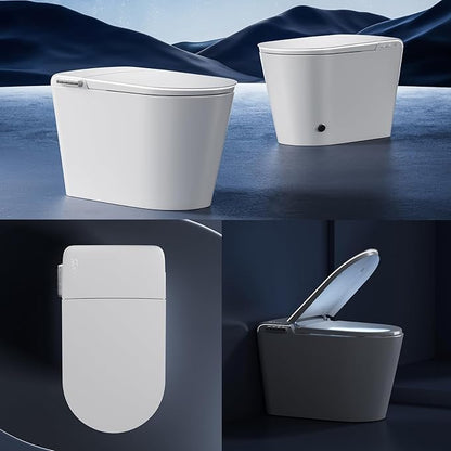 Modern Smart Toilet, One Piece Toilet with Auto Open/Close Lid, Heated Seat, Bidet Function, Warm Air Dry, Foam Shield, Auto Deodorization, Night Light, Remote Control